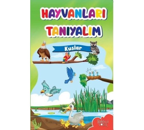 Muhteşem Çizimler ve Kolay Anlatım ile Hayvanları Tanıyalım Kuşlar