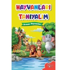Muhteşem Çizimler ve Kolay Anlatım ile Hayvanları Tanıyalım Orman Hayvanları