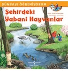 Şehirdeki Yabani Hayvanlar - Dünyayı Öğreniyorum