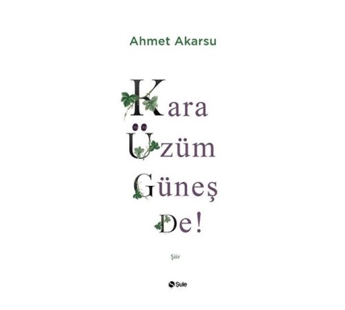 Kara Üzüm Güneş De