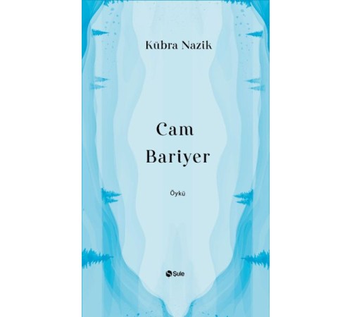Cam Bariyer Cam Bariyer