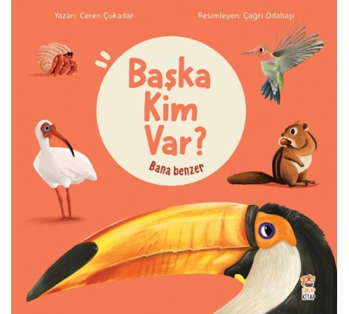 Bana Benzer - Başka Kim Var Bana Benzer - Başka Kim Var