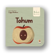 Tohum