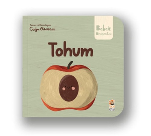 Tohum