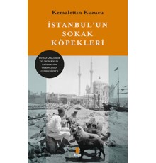 İstanbul’un Sokak Köpekleri