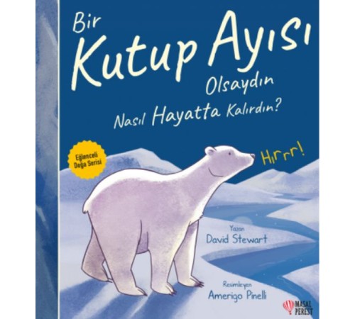 Bir Kutup Ayısı Olsaydın Nasıl Hayatta Kalırdın?