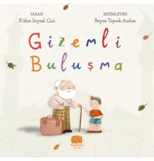 Gizemli Buluşma