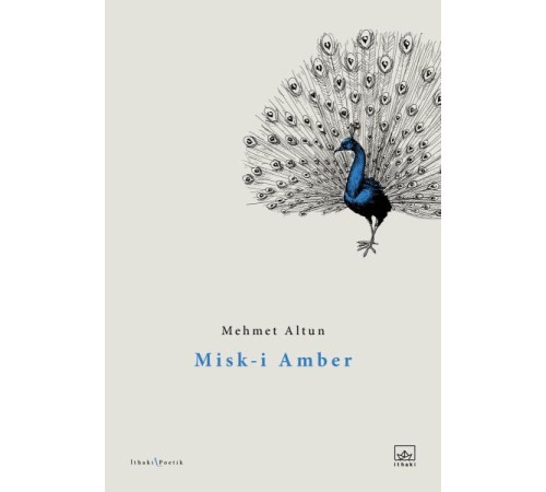 Misk-i Amber