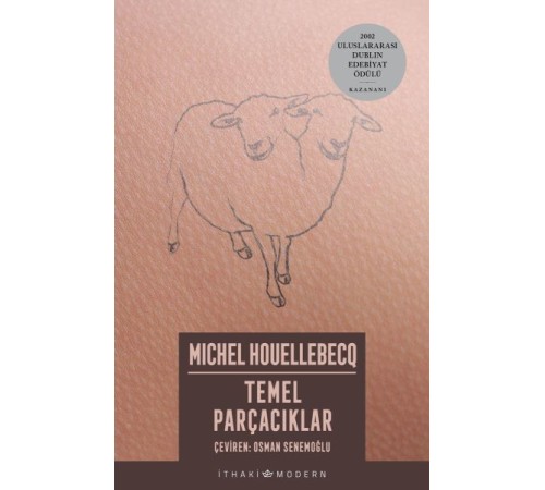 Temel Parçacıklar Temel Parçacıklar