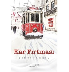 Kar Fırtınası