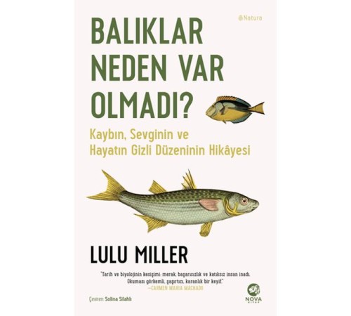 Balıklar Neden Var Olmadı?