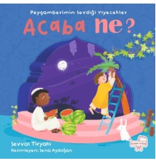Peygamberimin Sevdiği Yiyecekler Acaba Ne? (Pencereli Kitap)