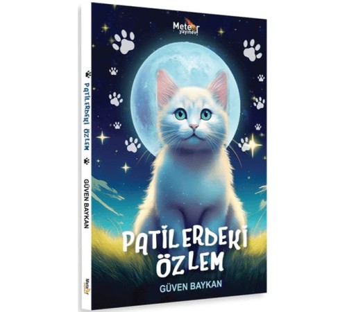 Patilerdeki Özlem