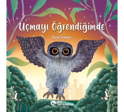 Uçmayı Öğrendiğimde Uçmayı Öğrendiğimde