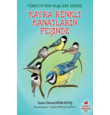 Kayra Renkli Kanatların Peşinde Türkiye'nin