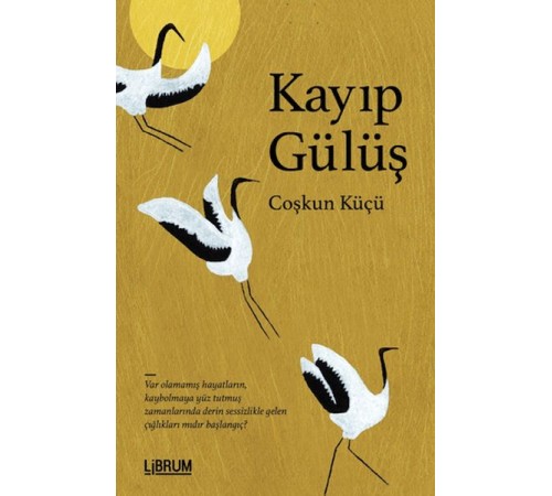Kayıp Gülüş