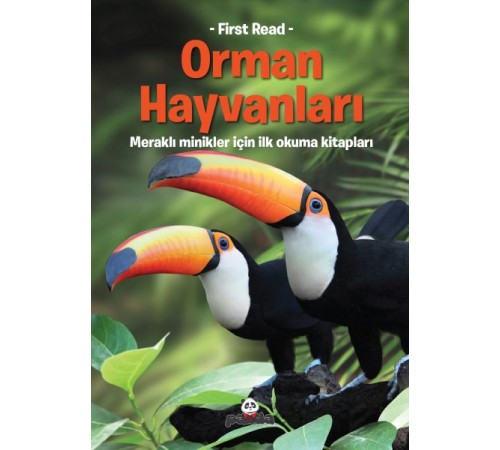 Orman Hayvanları Orman Hayvanları