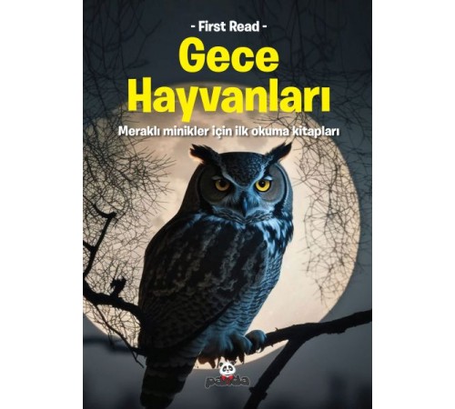 Gece Hayvanları
