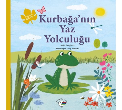 Kurbağa’nın Yaz Yolculuğu – Doğada Bir Yıl