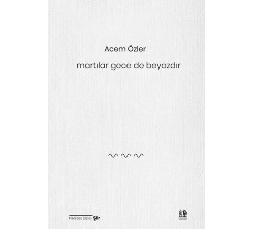 Martılar Gece de Beyazdır