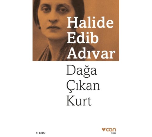 Dağa Çıkan Kurt