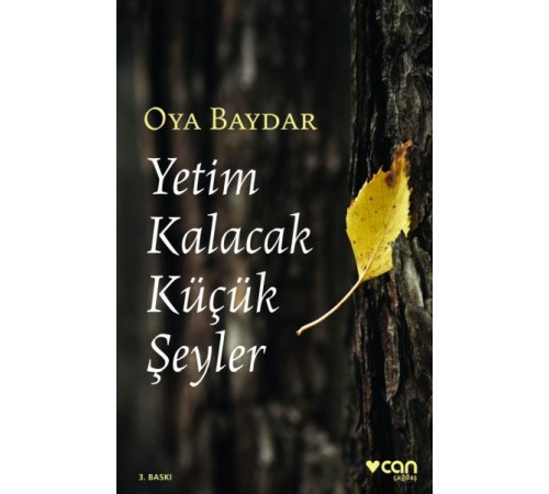Yetim Kalacak Küçük Şeyler Yetim Kalacak Küçük Şeyler