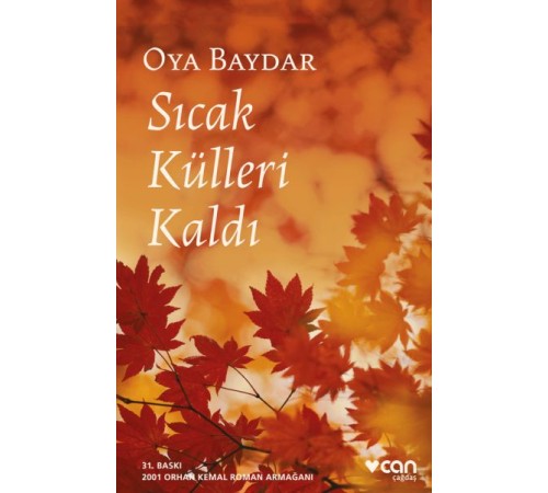Sıcak Külleri Kaldı