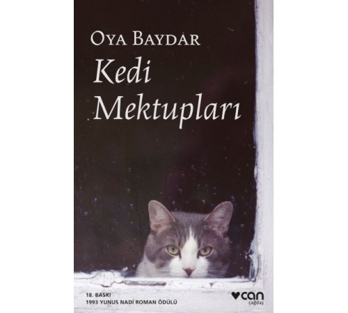 Kedi Mektupları Kedi Mektupları