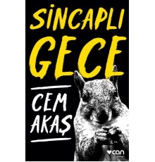 Sincaplı Gece