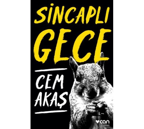 Sincaplı Gece Sincaplı Gece