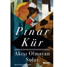 Akışı Olmayan Sular