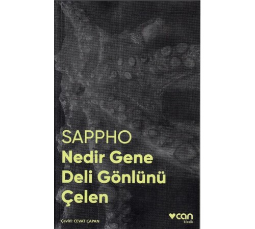 Nedir Gene Deli Gönlünü Çelen (Fotoğraflı Klasikler) Nedir Gene Deli Gönlünü Çelen (Fotoğraflı Klasikler)