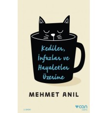 Kediler İnfazlar ve Hayaletler Üzerine