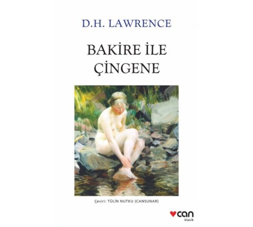 Bakire ile Çingene (Beyaz Kapak) Bakire ile Çingene (Beyaz Kapak)