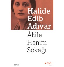 Akile Hanım Sokağı