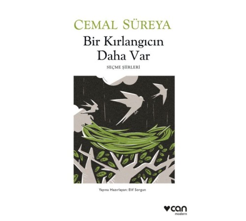 Bir Kırlangıcın Daha Var