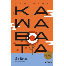 Go Ustası