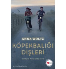 Köpekbalığı Dişleri