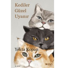Kediler Güzel Uyanır