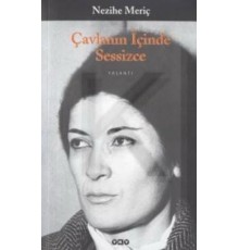 Çavlanın İçinde Sessizce