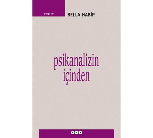 Psikanalizin İçinden Psikanalizin İçinden