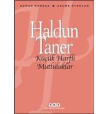 Küçük Harfli Mutluluklar