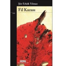 Fil Kazası