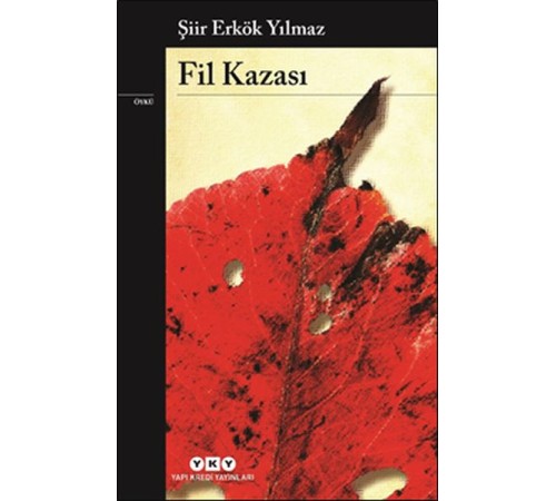 Fil Kazası Fil Kazası