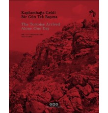 Kaplumbağa Geldi Bir Gün Tek Başına