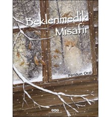 Beklenmedik Misafir