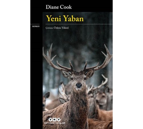 Yeni Yaban