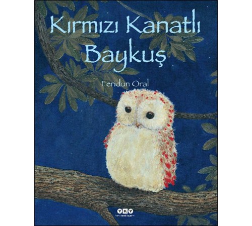 Kırmızı Kanatlı Baykuş Kırmızı Kanatlı Baykuş