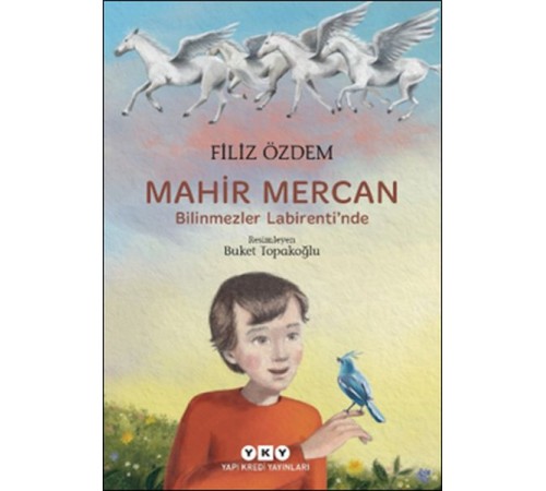 Mahir Mercan - Bilinmezler Labirenti’nde