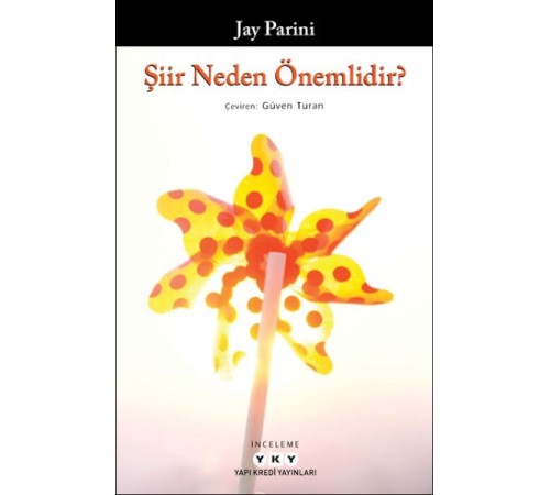 Şiir Neden Önemlidir?